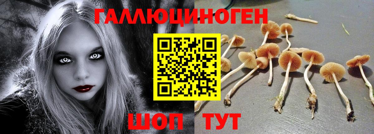 Галлюциногенные грибы мухоморы Торжок